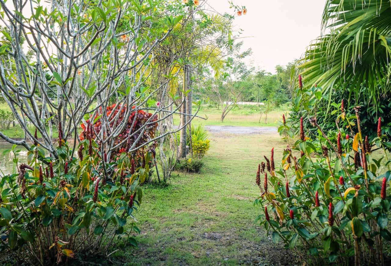 Rommai Villa Chiang Rai Ban Pa Sang Exterior photo